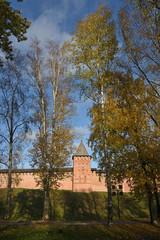 Fototapeta premium Autumn birch trees with yellow foliage in the park and the old tower of the Novgorod Kremlin. Veliky Novgorod