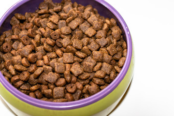green shell with dry cat food in front of white background