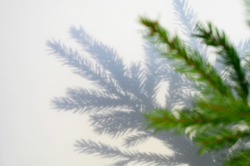 Christmas tree branch and a beautiful shadow from it on a white-gray background of the surface of the wall or table