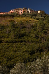 Fototapeta na wymiar Village of San Bernardino on the hills of the Cinque Terre in Liguria.
