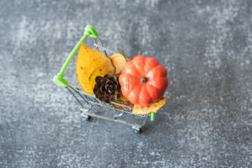 Green small toy shopping cart with leaves, cone and pumpkin on a concrete wall background. Autumn Concept.