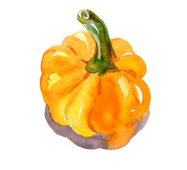 Watercolor hand-drawn sketch. Pumpkin shadowless autumn harvest halloween. Illustration isolated on white