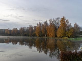 early autumn morning, white mist over water and ground, beautifully colored and blurred tree silhouettes in the background