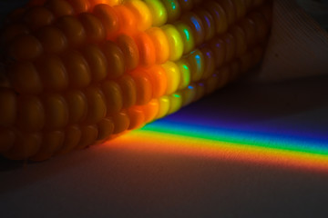 Rainbow color light, spectrum of visible light on a dry corncob