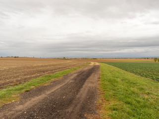 Paysage du Centre de la France. La plaine de la grande Limagne en automne avec ses champs agricoles entre Gannat en Allier et Riom dans le Puy-de-Dôme avec la chaine des Puys à l'horizon