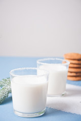 Glasses of milk, pine branch and homemade cookies on the blue background