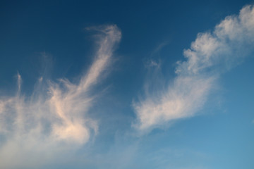 Light transparent clouds on a background of blue sky