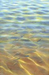 Sunny water with transparent waves and fishes watercolor background