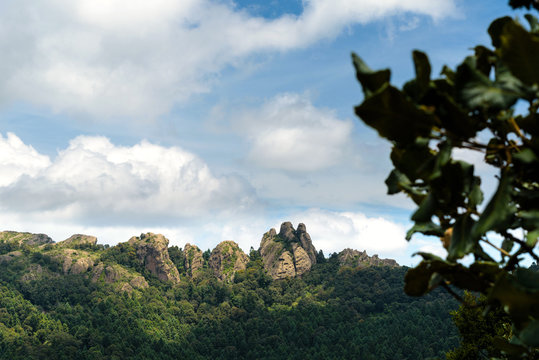 Vista el cedral 2