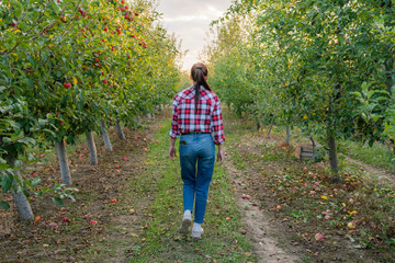 A girl in a red shirt walks between the rows of her garden