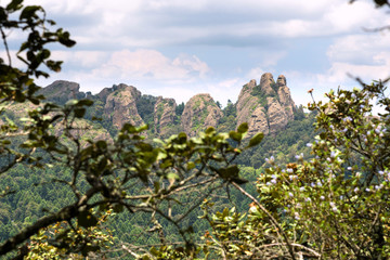 Vista desde el Cedral