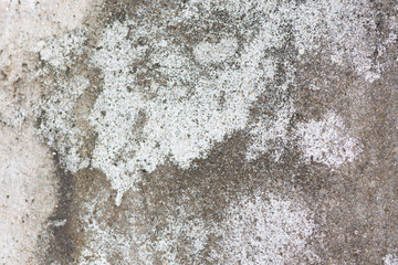 Obraz premium Tekstura natury. Ściana otynkowana cementem. Pod wpływem wilgoci przez długi czas będzie czarna pleśń, piękny wzór.