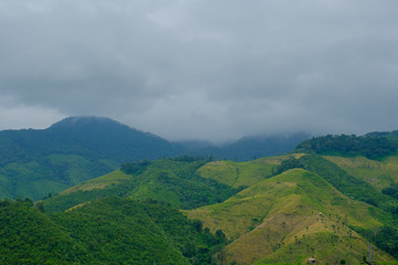 Mist on hill.