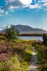 Fototapeta na wymiar Looking down a pathway with Loch Langass ahead and a blue sky overhead, on the Hebridean Island of North Uist