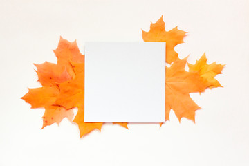 Autumn composition. Paper empty blank and orange leaves on white background. Flat lay, top view, copy space