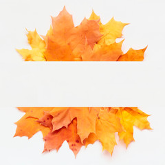 Orange leaves with place for text. Autumn composition. Flat lay, top view, copy space