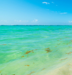 Turquoise water and blue sky in Guadeloupe