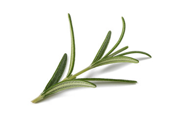 Rosemary