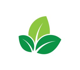 Fototapeta na wymiar green leaves vector icon design on white background.