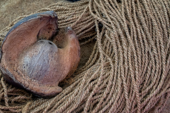 Broken Coconut and coconut rope, natural background, texture