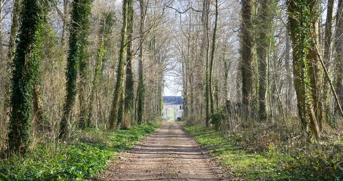 empty forest with door far away. a way to escape this forest. le lude France 1-3-19