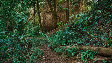 Obraz premium usina abandonada