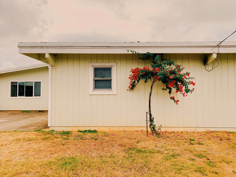 Exterior view of house