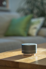 voice controlled smart speaker in a interior home environment. 