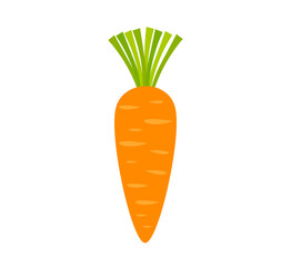 Orange carrot vegetable icon on white background.