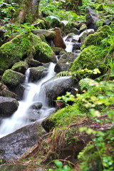 Burgbachwasserfall im Schwarzwald