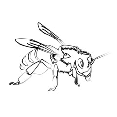 bee contour vector illustration isolated