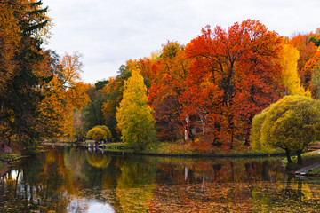 autumn in the park