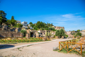 View of the ancient structures of the Roman Forum