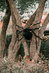 Scary spooky Halloween house decorations. Halloween season. October 31 spooky day. Trick or treat kids holiday. Scary witch, ghost, spiders, clown, pumpkins, skeleton decor. Coffin on the grass. 