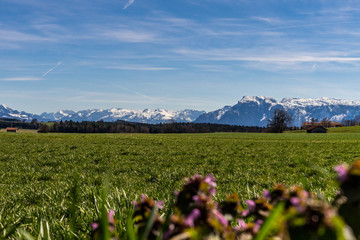 Fototapeta premium Beautiful view over the alps of Berchtesgadener Land Germany