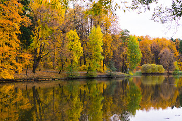 autumn landscape with lake and trees