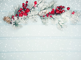 Fototapeta na wymiar christmas fir tree branch with cones winter berries in snow