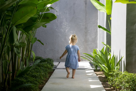 Back View Of A Toddler Girl In A Dress Walking Through Garden