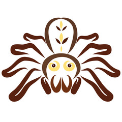 Big brown spider with big eyes looks