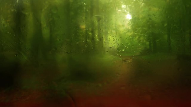 Car is standing in a deciduous forest. The camera is filming through the windshield. Rain is dripping on the glass. In the background a green forest. Sound, real time.