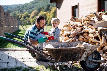 A father and toddler boy outdoors in summer, putting firewood in wheelbarrow.