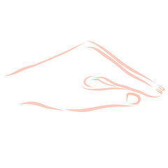 hand that covers or protects something, like the roof of a house