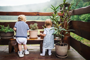Rear view of two toddler children standing outdoors on a terrace in summer.