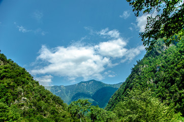  in the mountains of Abkhazia