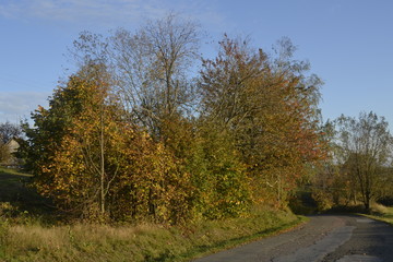 Mountain landscape in autumn colours