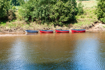 Blue rowing boat followed by three red rowing boats, all moored at the side of a river