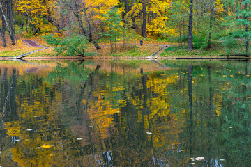 autumn in the park