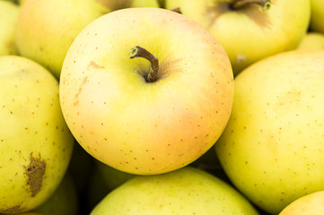 Freshly picked apples in a wooden crate. Big juicy apple, close-up. Macro. Freshly harvested. Great autumn background.