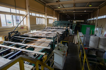 Wood processing plant. Wood cutting workshop