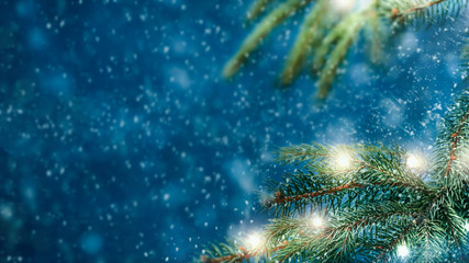 Fototapeta na wymiar Christmas tree background and free space for your decoration 
